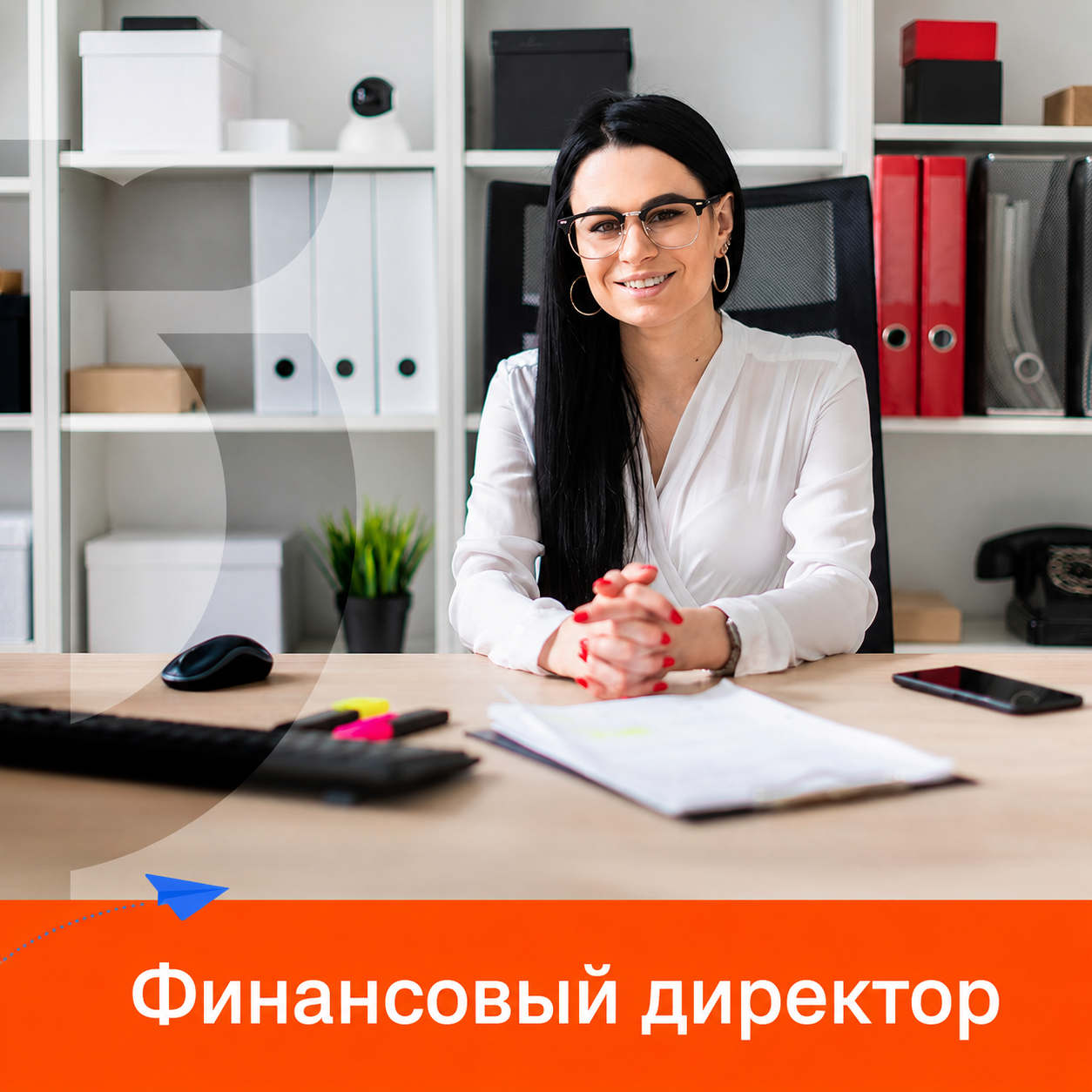 ВИДЕОКУРС. Финансовый директор (2026)